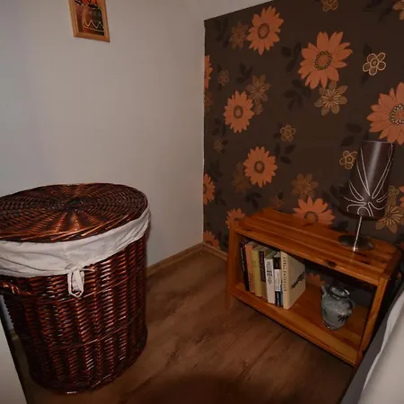 Apartmány Sněženka Destne v Orlickych horach Exteriér fotografie