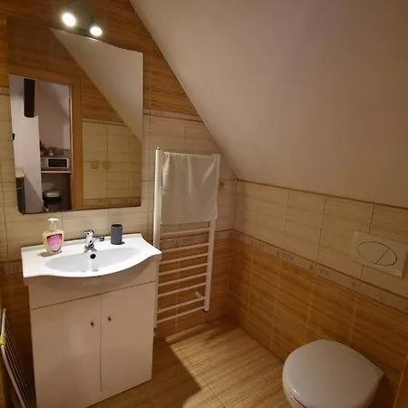 Apartmány Sněženka Destne v Orlickych horach Exteriér fotografie