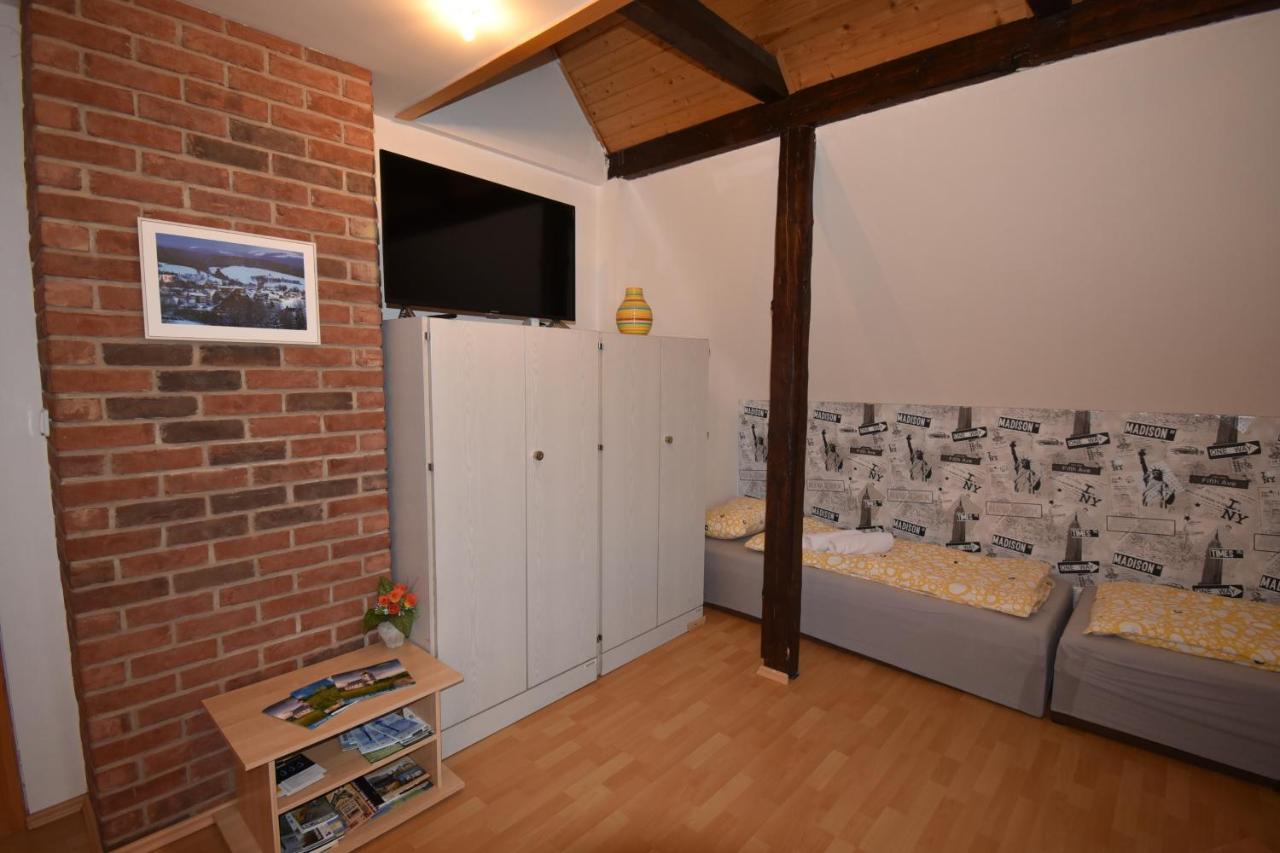 Apartment Snezenka Destne v Orlickych horach