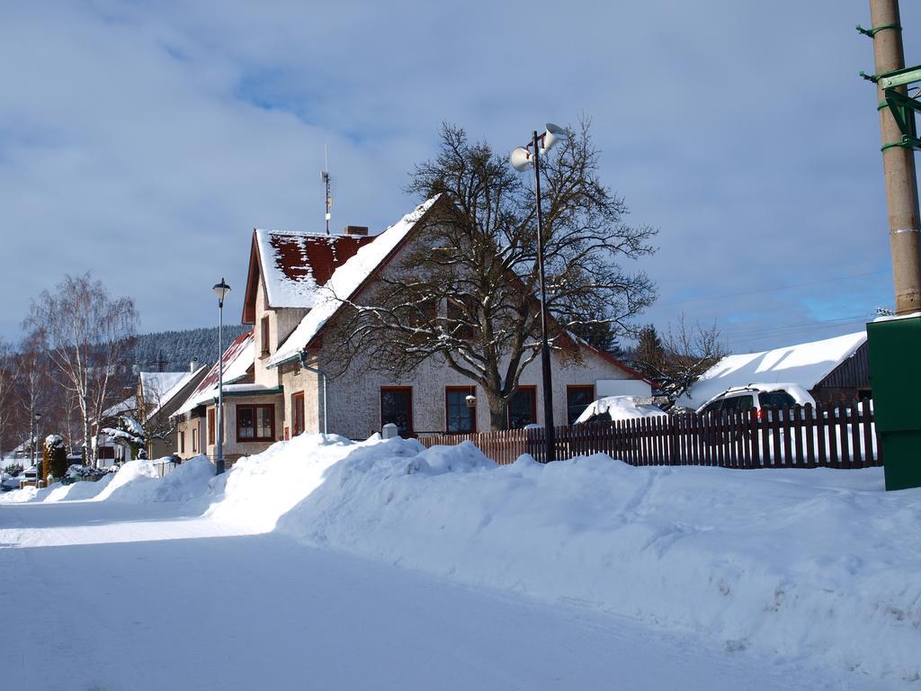 Snezenka Destne v Orlickych horach